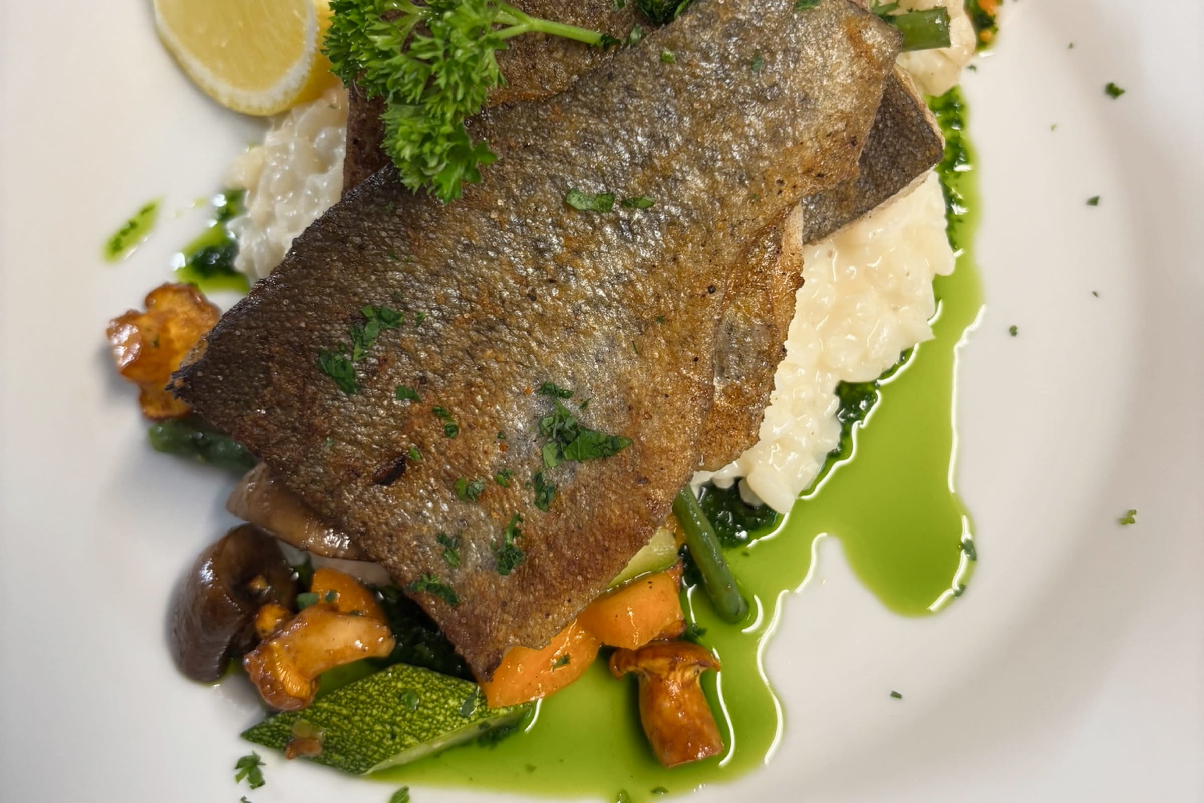 Gebratenes Fischfilet auf cremigem Risotto mit gebratenem Gemüse und grüner Kräutersauce auf weißem Teller.