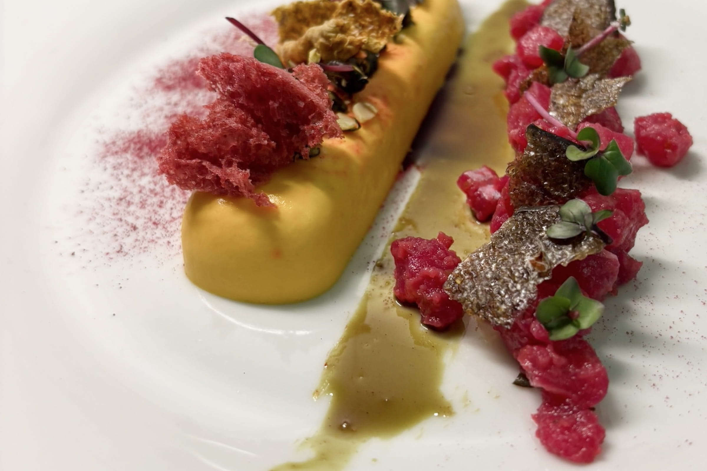 Fein angerichtete Vorspeise mit cremiger gelber Sauce, roten Schaumstücken, grünen Blättchen und knusprigen braunen Chips auf weißem Teller