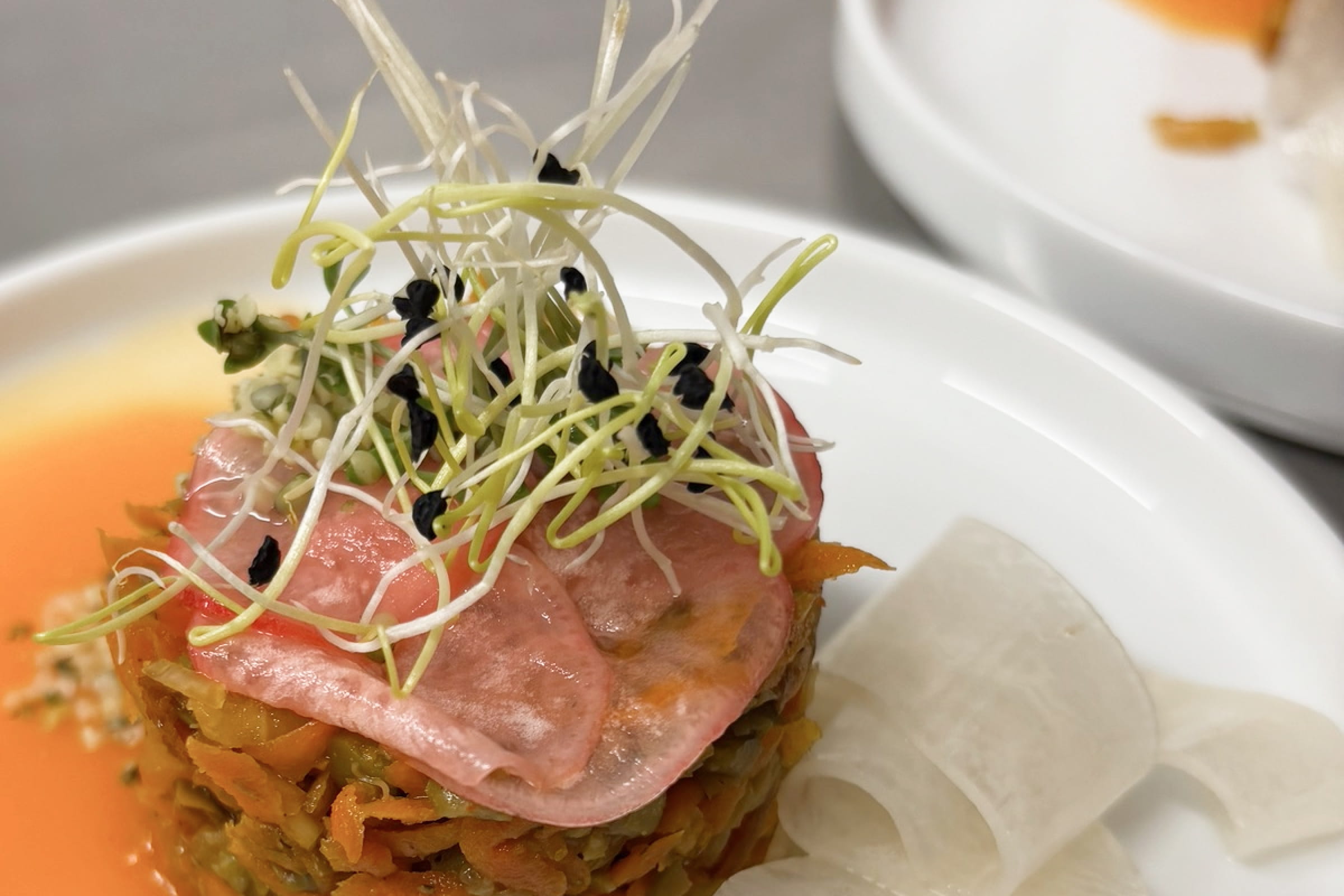 Vorspeise mit Gemüsetatar, dünnen Scheiben und Sprossen auf weißem Teller.